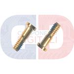 VITI TORX PER IPHONE 6 GOLD ( 2 PZ)