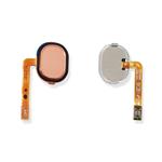 FLAT FINGERPRINT A405F CORAL GH96-12484D