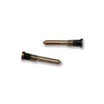 VITI TORX PER IPHONE 12 PRO MAX GOLD (2 PZ)