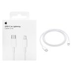 CAVO TYPE-C + LIGHTNING APPLE 1 METRO CON BLISTER MM0A3ZM/A