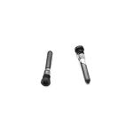 VITI TORX PER IPHONE 16 SILVER (2 PZ)