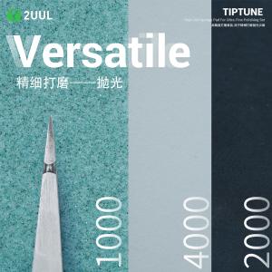 SPUGNE ABRASIVE AD ALTA GRANA 2UUL FM02 PER LUCIDATURA