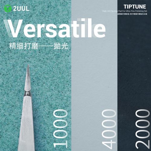 SPUGNE ABRASIVE AD ALTA GRANA 2UUL FM02 PER LUCIDATURA