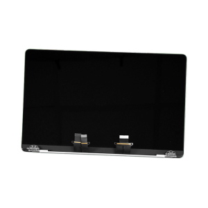 MONITOR BILDSCHIRM LCD FUR MACBOOK PRO 14 M3 A2918 / PRO 14 M2 A2779 / PRO 14 M1 A2442 MIT DECKEL SILVER
